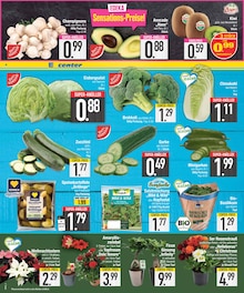 Zucchini im EDEKA Prospekt "DAS BESTE DER WOCHE" mit 20 Seiten (München)