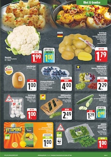 Salat im EDEKA Prospekt "Wir lieben Lebensmittel!" mit 8 Seiten (Nürnberg)