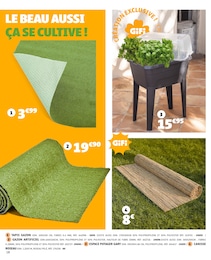 Offre Canisse Roseau dans le catalogue Gifi du moment à la page 18