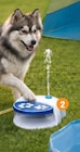 Fontaine rafraichissante pour chien en promo chez B&M Fontaine rafraichissante pour chien dans le catalogue B&M