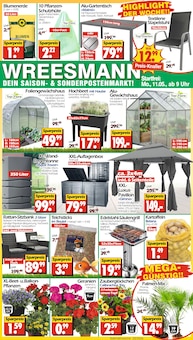 Geranien im aktuellen Wreesmann Prospekt (Cottbus) Geranien im Wreesmann Prospekt "DEIN SAISON- & SONDERPOSTENMARKT!" mit 20 Seiten (Cottbus)