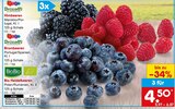 Himbeeren im Angebot bei Netto Marken-Discount in Mülheim Himbeeren Angebote von Driscoll's bei Netto Marken-Discount Mülheim für 4,50 €