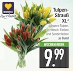 Tulpen-Strauß XL von EDEKA im aktuellen EDEKA Prospekt für 9,99 €