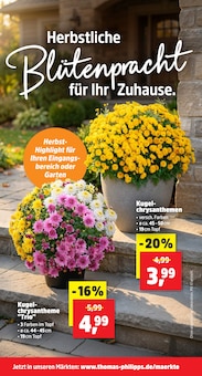 Blumen im Thomas Philipps Prospekt "Top Angebote" mit 14 Seiten (Hamburg)