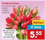 Großbund Tulpen im aktuellen Netto Marken-Discount Prospekt