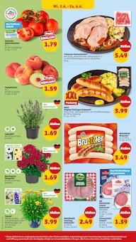 Schweinefleisch im Penny Prospekt "Wer günstig will, muss Penny." mit 44 Seiten (Leipzig)