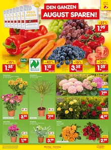 Tomaten im Netto Marken-Discount Prospekt "Aktuelle Angebote" mit 49 Seiten (Krefeld)