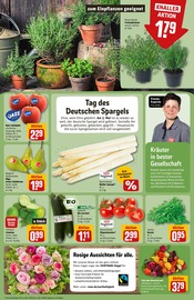 Ähnliche Angebote wie Salatpflanze im Prospekt "Dein Markt" auf Seite 7 von REWE in Bonn