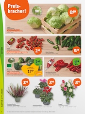 Aktueller tegut Prospekt mit Salat, "tegut… gute Lebensmittel", Seite 4