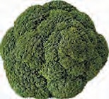 Broccoli bei EDEKA im Pinneberg Prospekt für 0,39 €
