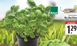 Angebot im E center Viersen Prospekt E center Viersen Prospekt mit im Angebot für 1,29 €