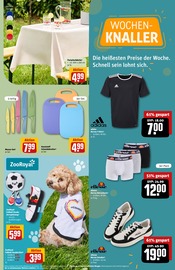Adidas im REWE Prospekt in Frankfurt Aktueller REWE Prospekt mit Adidas, "Dein Markt", Seite 31