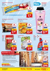 Shampoo im Netto Marken-Discount Prospekt in Schwabach Aktueller Netto Marken-Discount Prospekt mit Shampoo, "Aktuelle Angebote", Seite 9