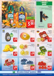 Ähnliche Angebote wie Pflastersteine im Prospekt "AUSWAHL RIESIG, PREISE NIEDRIG" auf Seite 6 von Marktkauf in Schwabach