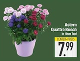 Aktuelles Astern Quattro Busch Angebot bei E center in Augsburg ab 7,99 €