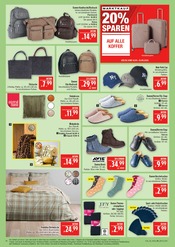 Strümpfe im Marktkauf Prospekt in Hof Aktueller Marktkauf Prospekt mit Strümpfe, "AUSWAHL RIESIG, PREISE NIEDRIG", Seite 36