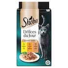 Sachet repas pour chats "Délice du Jour" - SHEBA en promo chez Carrefour Sachet repas pour chats "Délice du Jour" - SHEBA dans le catalogue Carrefour