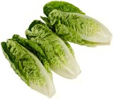 REWE Kleinostheim - Romana Salatherzen Angebot im Prospekt Romana Salatherzen bei REWE im Kleinostheim Prospekt für 0,99 €