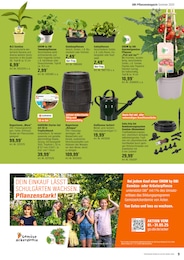 Paprikapflanze Angebot & Preis im aktuellen OBI Prospekt Paprikapflanze Angebot im aktuellen OBI Prospekt auf Seite 9