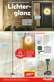 Weihnachtsbaum im Hellweg Prospekt in Nauen Aktueller Hellweg Prospekt mit Weihnachtsbaum, "Die Profi-Baumärkte", Seite 19