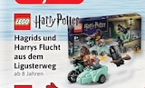 Harry Potter Hagrids und Harrys Flucht aus dem Ligusterweg Angebote von LEGO bei Kaufhaus Stolz Cuxhaven für 14,99 €