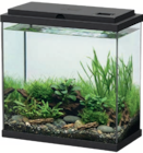 AQUARIUM VIDE - 10L - Animalis - Animalis à Hyères AQUARIUM VIDE - 10L - Animalis en promo chez Animalis Hyères à 15,99 €