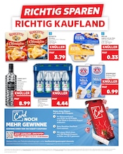 Ball im Kaufland Prospekt in Chemnitz Aktueller Kaufland Prospekt mit Ball, "Aktuelle Angebote", Seite 8