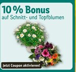 Angebot im REWE Heidenheim (Brenz) Prospekt REWE Heidenheim (Brenz) Prospekt mit im Angebot fĂŒr