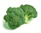 Netto mit dem Scottie Parchim - Deutscher Broccoli Angebot im Prospekt Deutscher Broccoli bei Netto mit dem Scottie im Parchim Prospekt für 1,39 €