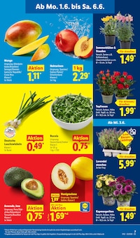 Wassermelone Angebot im Lidl Prospekt, gültig von 01.06.2026 bis 06.06.2026 Wassermelone Angebot im aktuellen Lidl Prospekt auf Seite 13