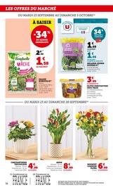 Chrysanthèmes Angebote im Prospekt "bi1 supermarché" von Bi1 auf Seite 36