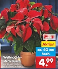 Aktuelles Weihnachtsstern Busch Angebot bei Netto Marken-Discount in Hannover ab 4,99 €