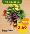 Tulpen Angebot in Roßla Tulpen im aktuellen Prospekt bei Penny-Markt in Roßla