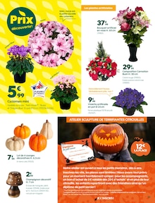 Promotion Décoration Noël dans le prospectus Truffaut, valable du 17/10/2025 au 02/11/2025 Promo Décoration Noël dans le catalogue Truffaut du moment à la page 3