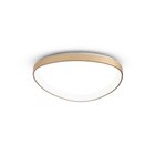 LED-Deckenleuchte Quirk im Segmüller Prospekt LED-Deckenleuchte Quirk von FABAS im aktuellen Segmüller Prospekt für 109,99 €