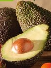 AVOCAT BIO à Auchan dans Yolet AVOCAT BIO à Auchan dans Yolet