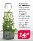 Blumentopf mit Rankhilfe Angebote bei Netto mit dem Scottie Stralsund für 14,99 €