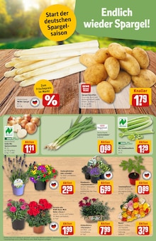 Spargel im REWE Prospekt "Dein Markt" mit 28 Seiten (Heidelberg)