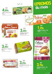 Palmier Angebote im Prospekt "LES PROMOS du mois" von NaturéO auf Seite 11