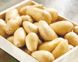 Intermarché Hyper - Pomme de Terre de Consommation : offre du catalogue Promo Pomme de Terre de Consommation à 3,99 € dans le catalogue Intermarché Hyper ""