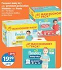 baby dry im V-Markt Prospekt baby dry von Pampers im aktuellen V-Markt Prospekt für 19,99 €