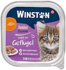 Katze Feine Pastete Angebote von Winston bei Rossmann Goslar für 0,30 €