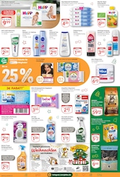 Aktueller GLOBUS Prospekt mit Katzenstreu, "Aktuelle Angebote", Seite 25