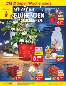 Orchidee im Netto Marken-Discount Prospekt "Aktuelle Angebote" mit 56 Seiten (Stuttgart)