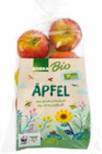 EDEKA Wittstock - Tafeläpfel Santana Angebot im Prospekt Tafeläpfel Santana bei EDEKA im Wittstock Prospekt für 2,29 €