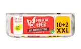 Aktuelles Frische Eier aus Bodenhaltung XXL Angebot bei Lidl in Recklinghausen ab 1,99 €