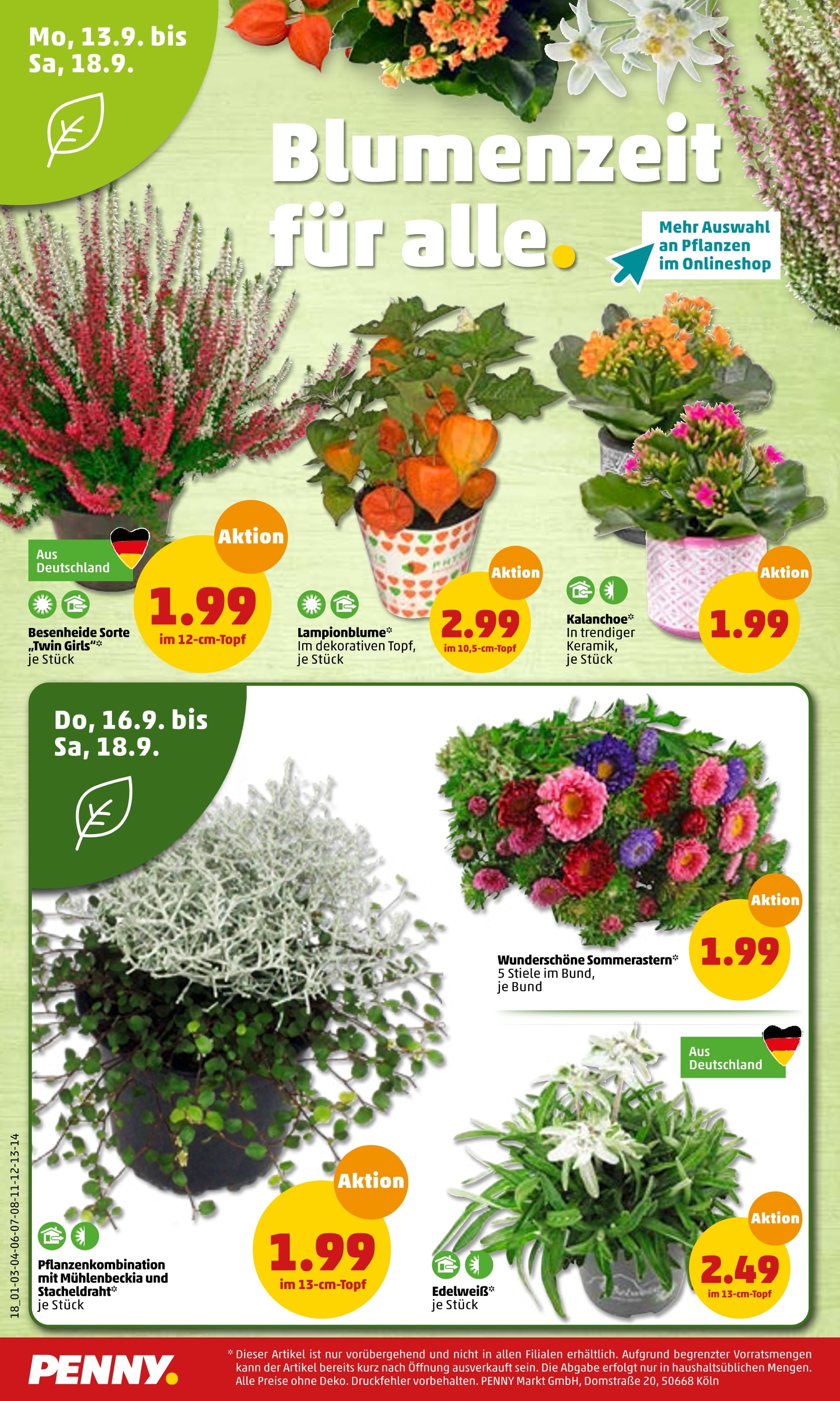 Zimmermann Pflanzen Angebot ᐅ Finde den Preis im aktuellen Prospekt