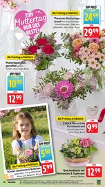 Aktueller E center Prospekt mit Blumen, "Aktuelle Angebote", Seite 24