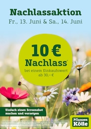 Pflanzen Kölle Prospekt für Grünheide: "Nachlassaktion", 2 Seiten, 10.06.2025 - 14.06.2025