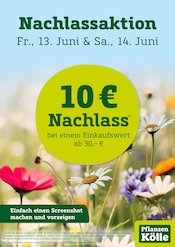 Aktueller Garten & Pflanzen Prospekt von Pflanzen Kölle, Nachlassaktion, gültig von 10.06.2025 bis 14.06.2025 
